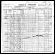 1900 Lincoln County, TN Census.jpg